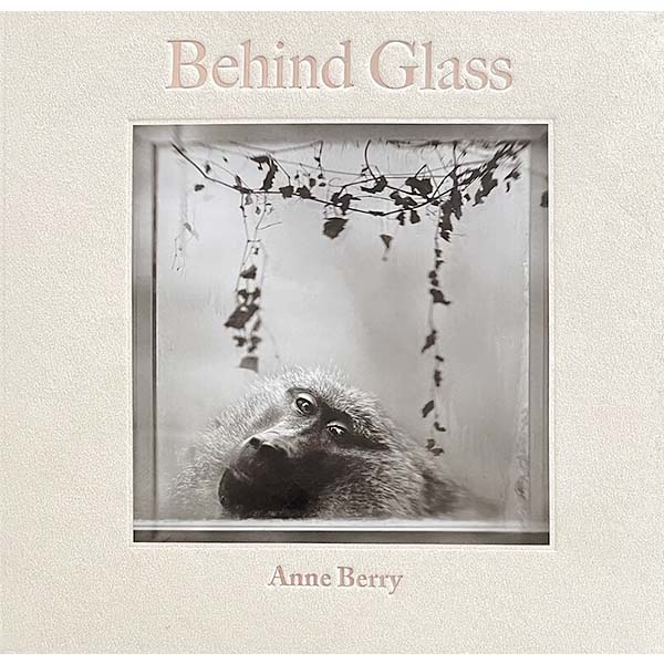 Behind Glass by Anne Berry