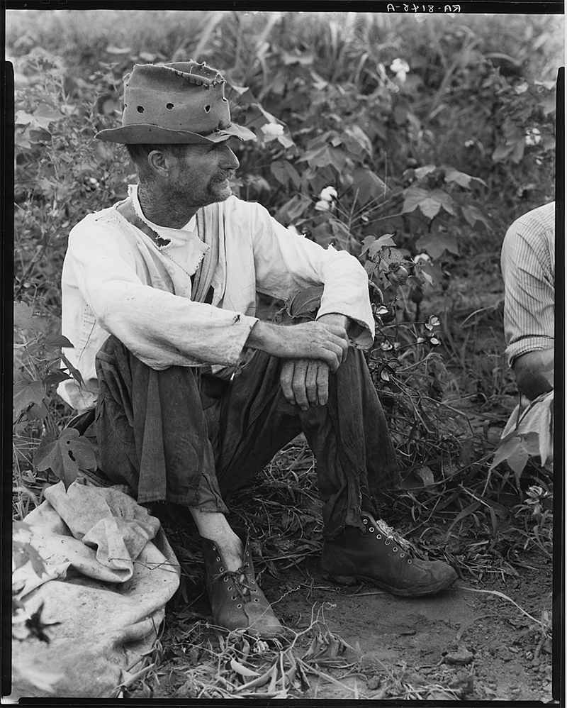 Walker Evans - Bud Fields in his cotton patch, 1935