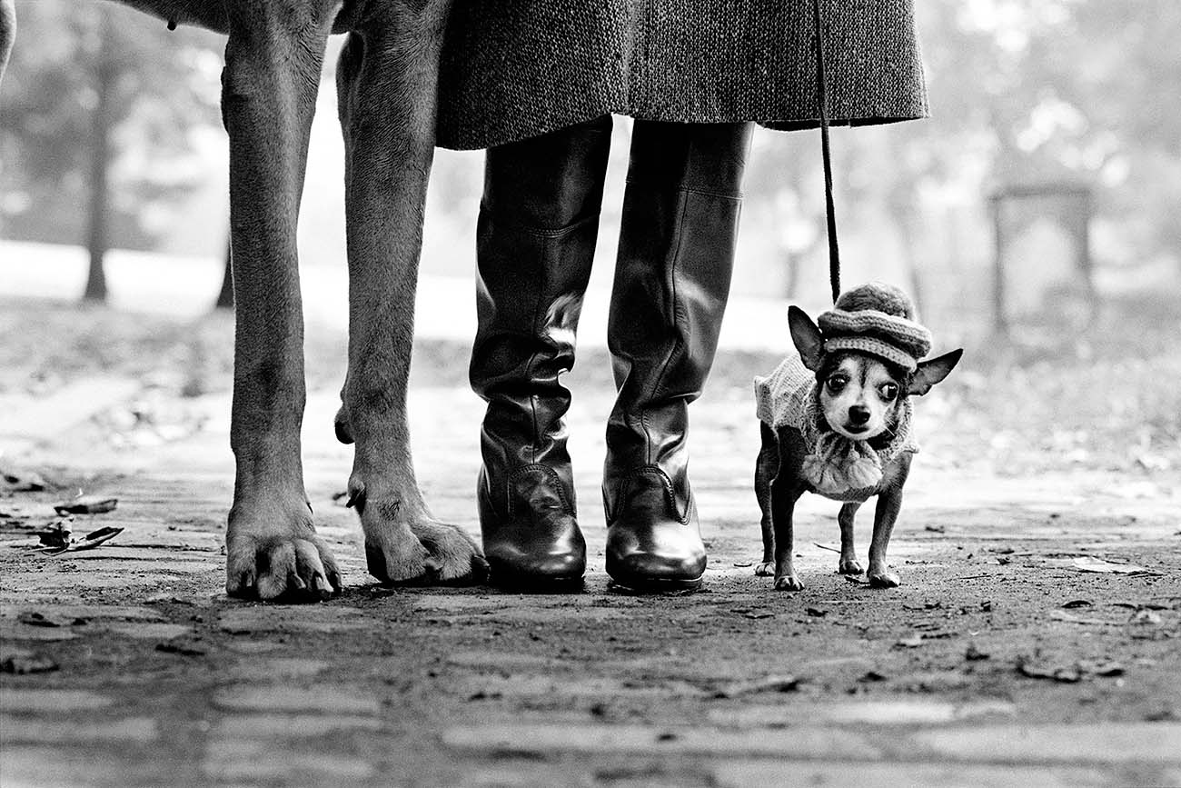 Eliott Erwitt