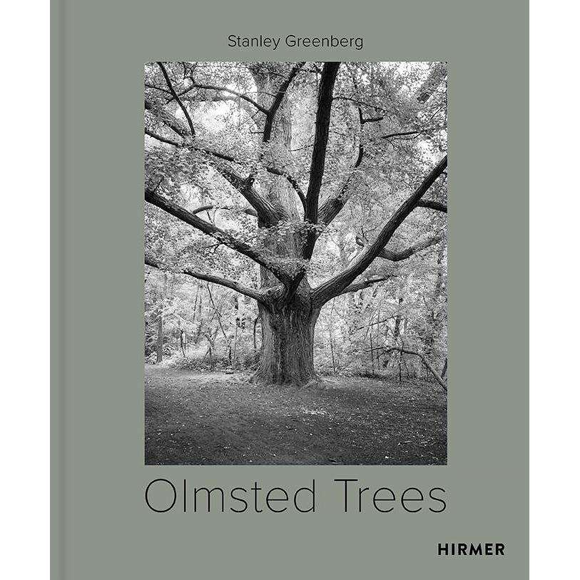 Olmsted Trees by Stanley Greenberg