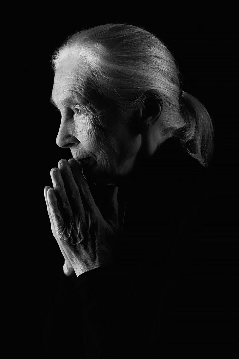 Jane Goodall  by Manfred Baumann