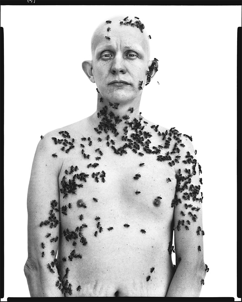 Ronald Fischer, beekeeper, by Richard Avedon