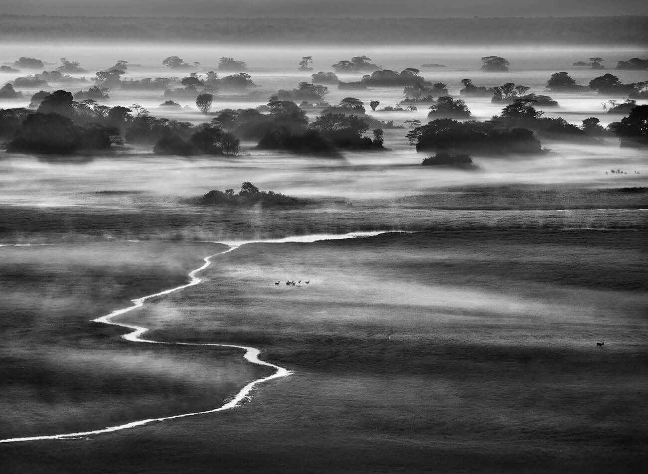 Sebastião Salgado'