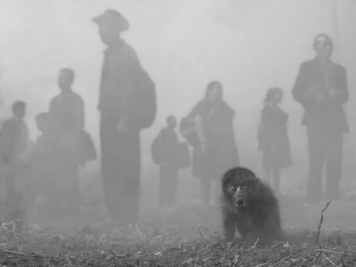 Nick Brandt