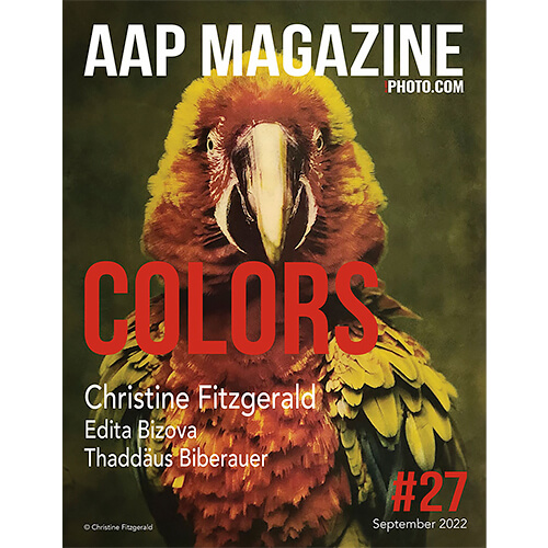 A burst of Colors in AAP Magazine 27