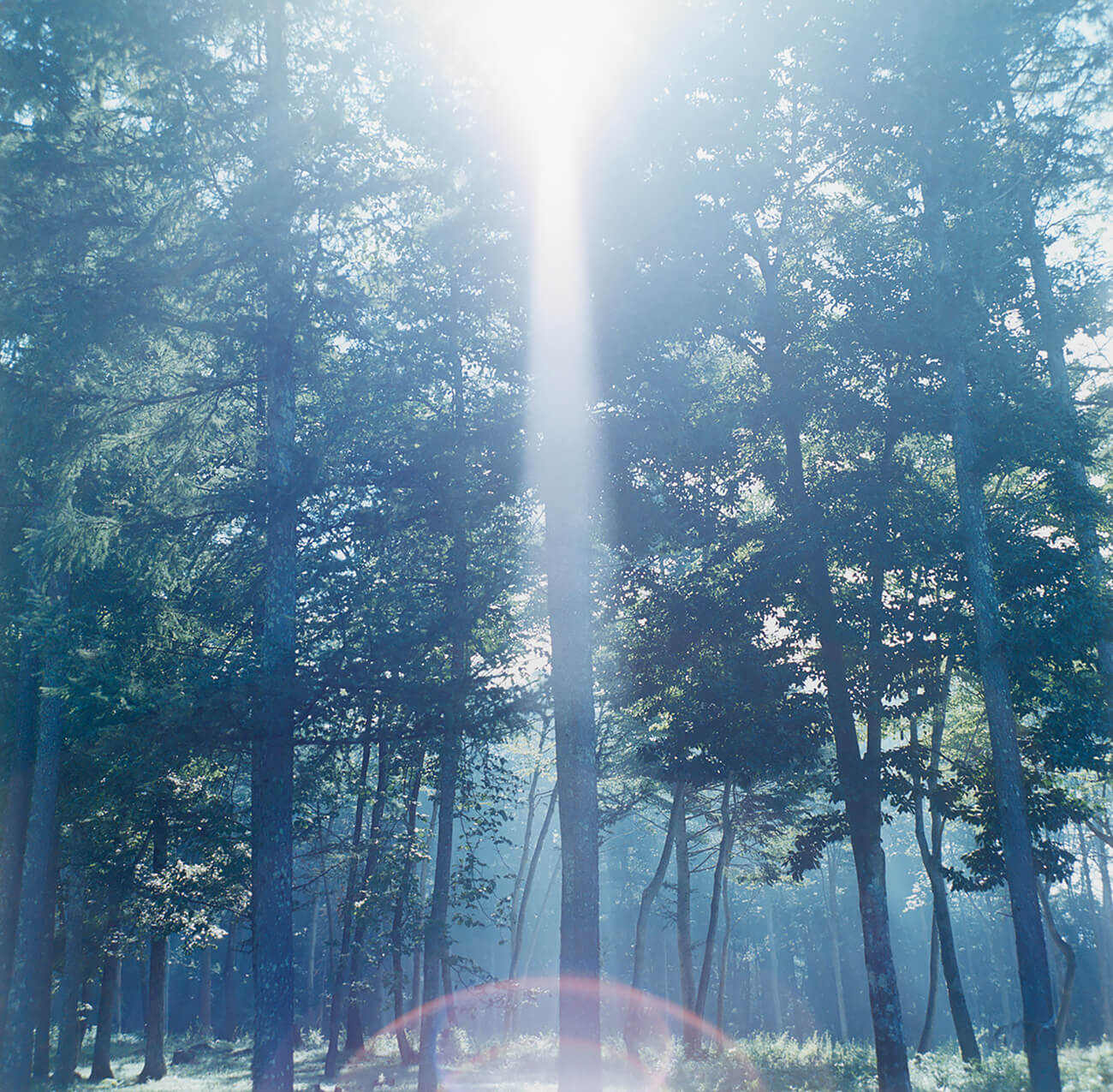 Rinko Kawauchi