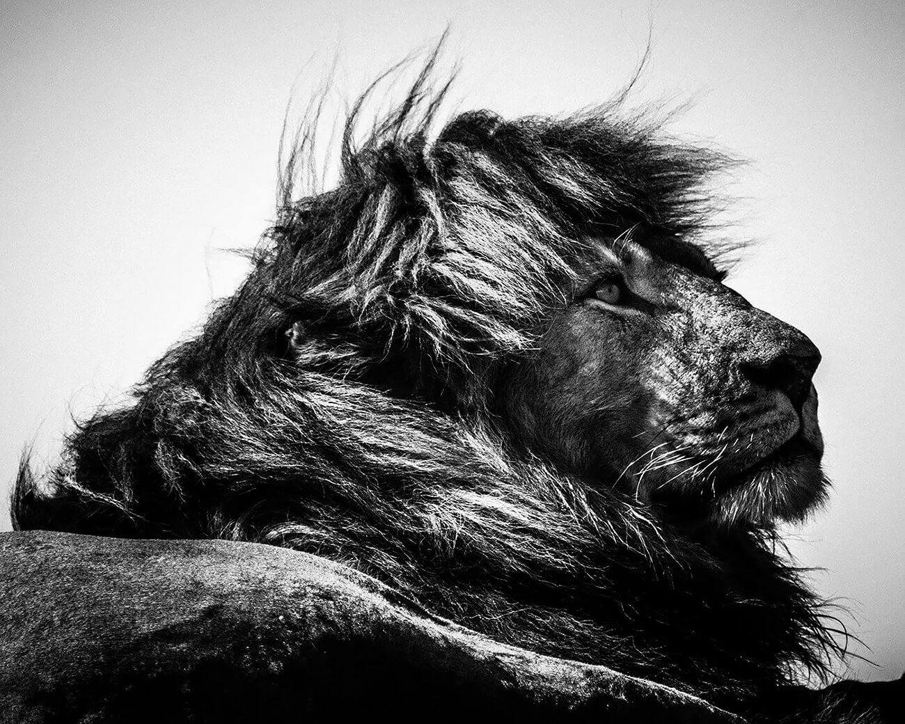 Laurent Baheux