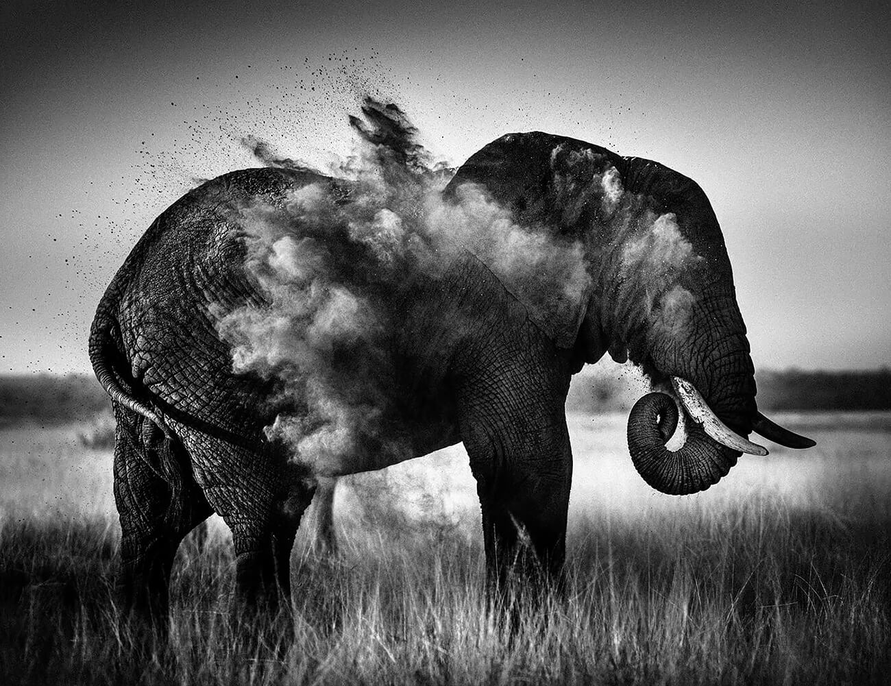 Laurent Baheux