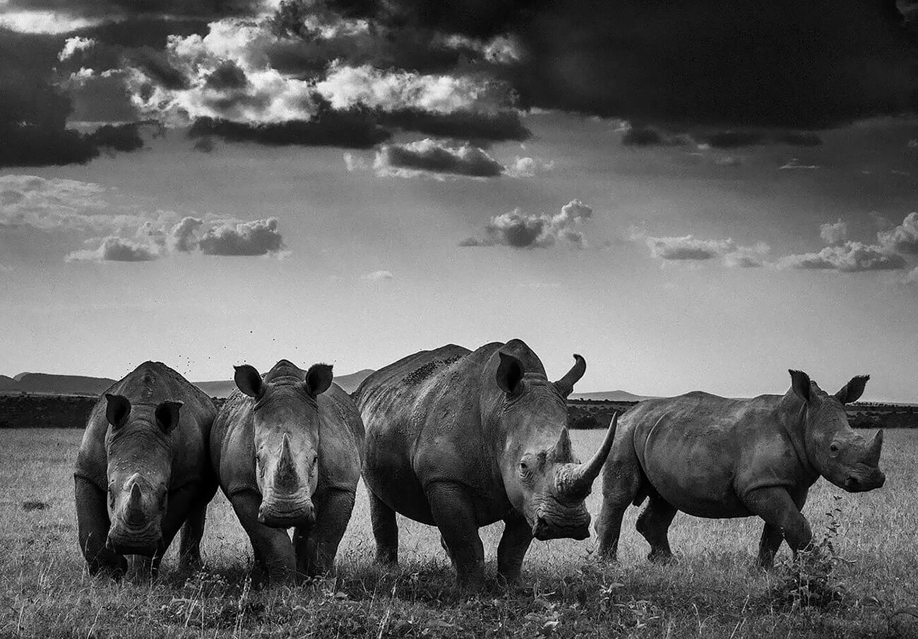 Laurent Baheux