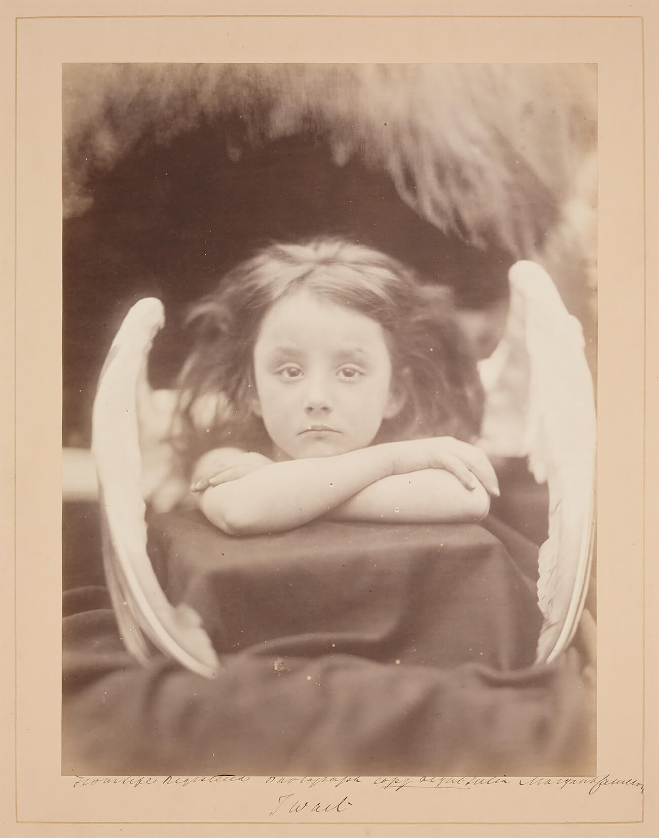 Julia Margaret Cameron