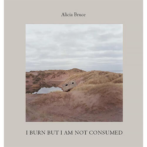 I Burn But I Am Not Consumed by Alicia Bruce