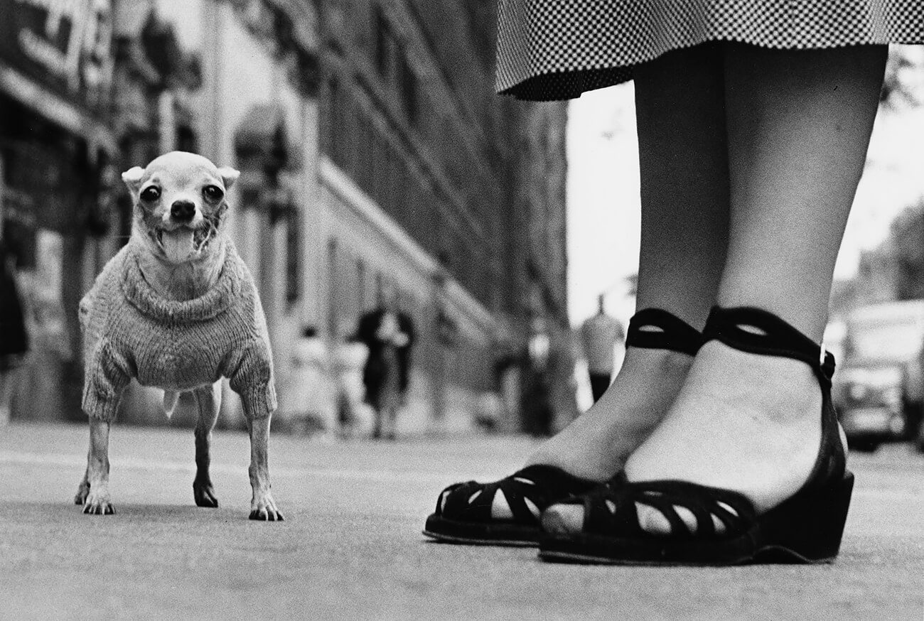 Elliott Erwitt