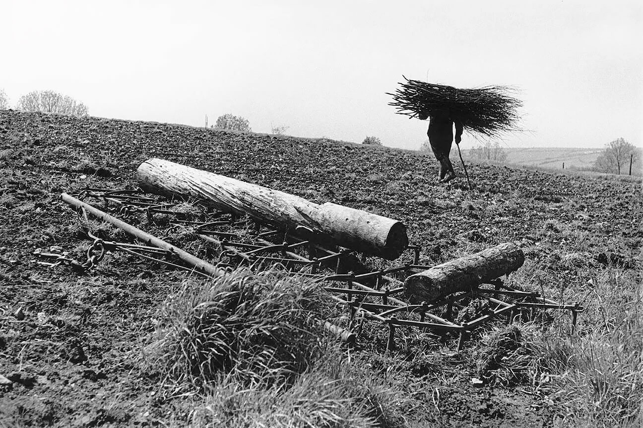 Roger Deakins