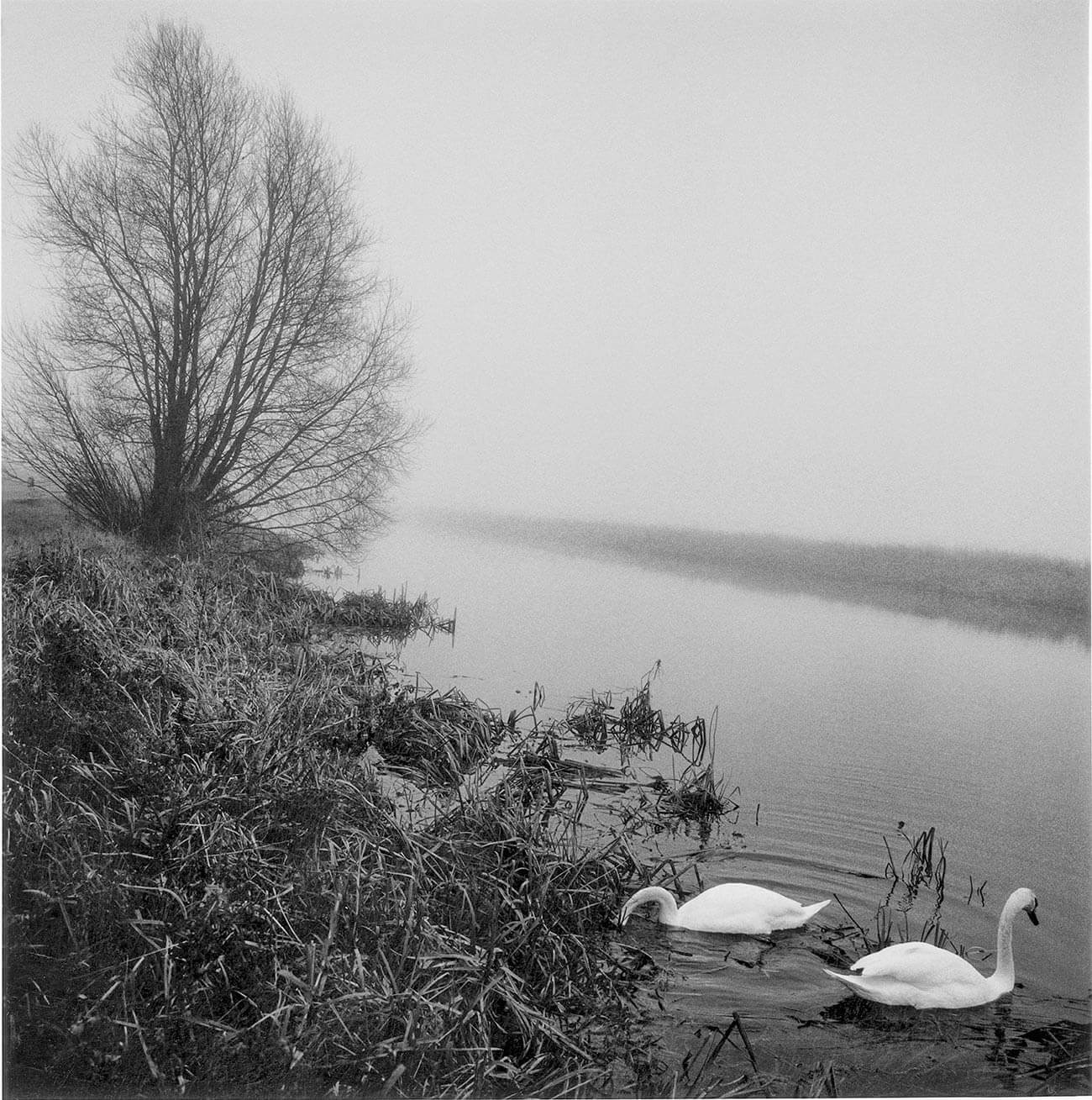 Paul Hart