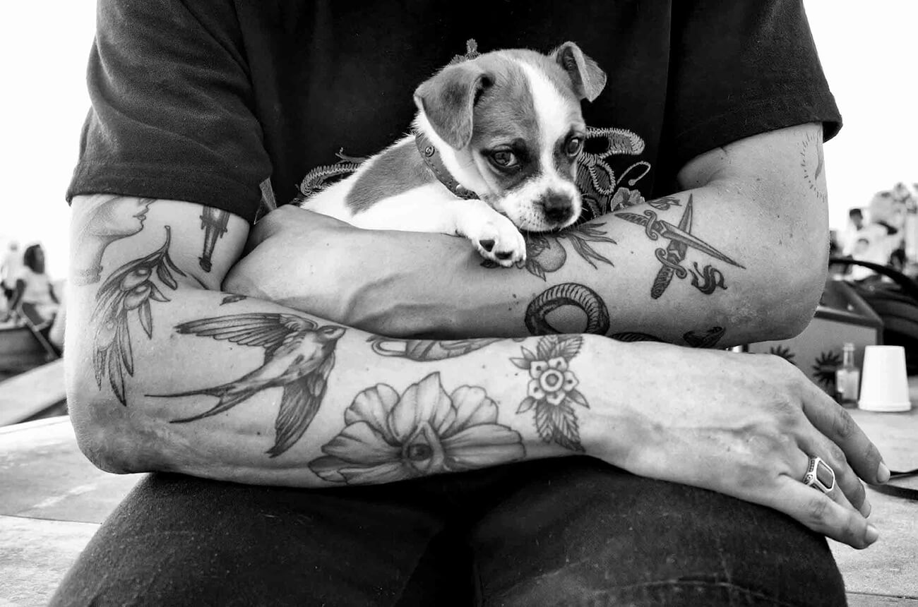 Dotan Saguy