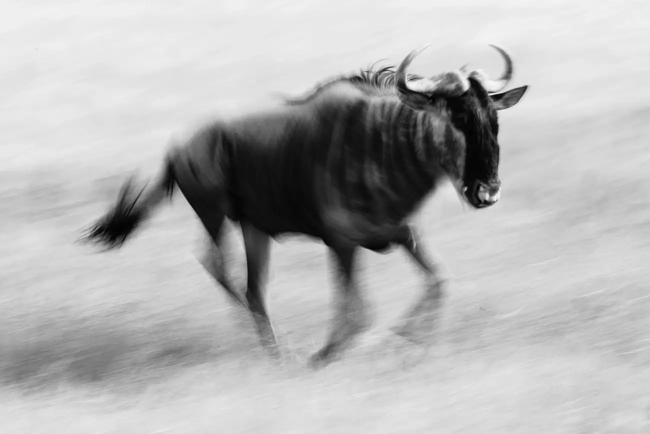 Laurent Baheux