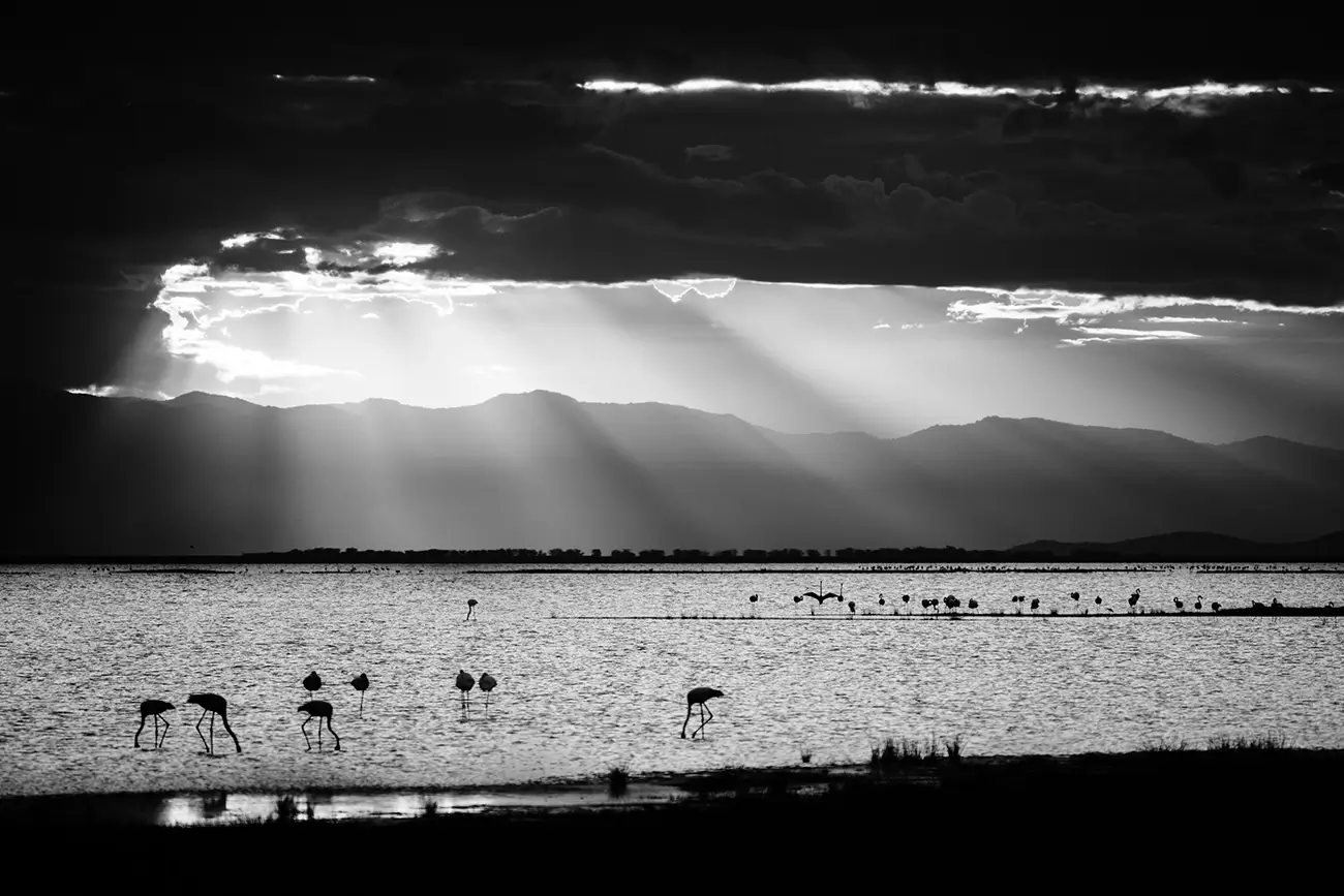 Laurent Baheux