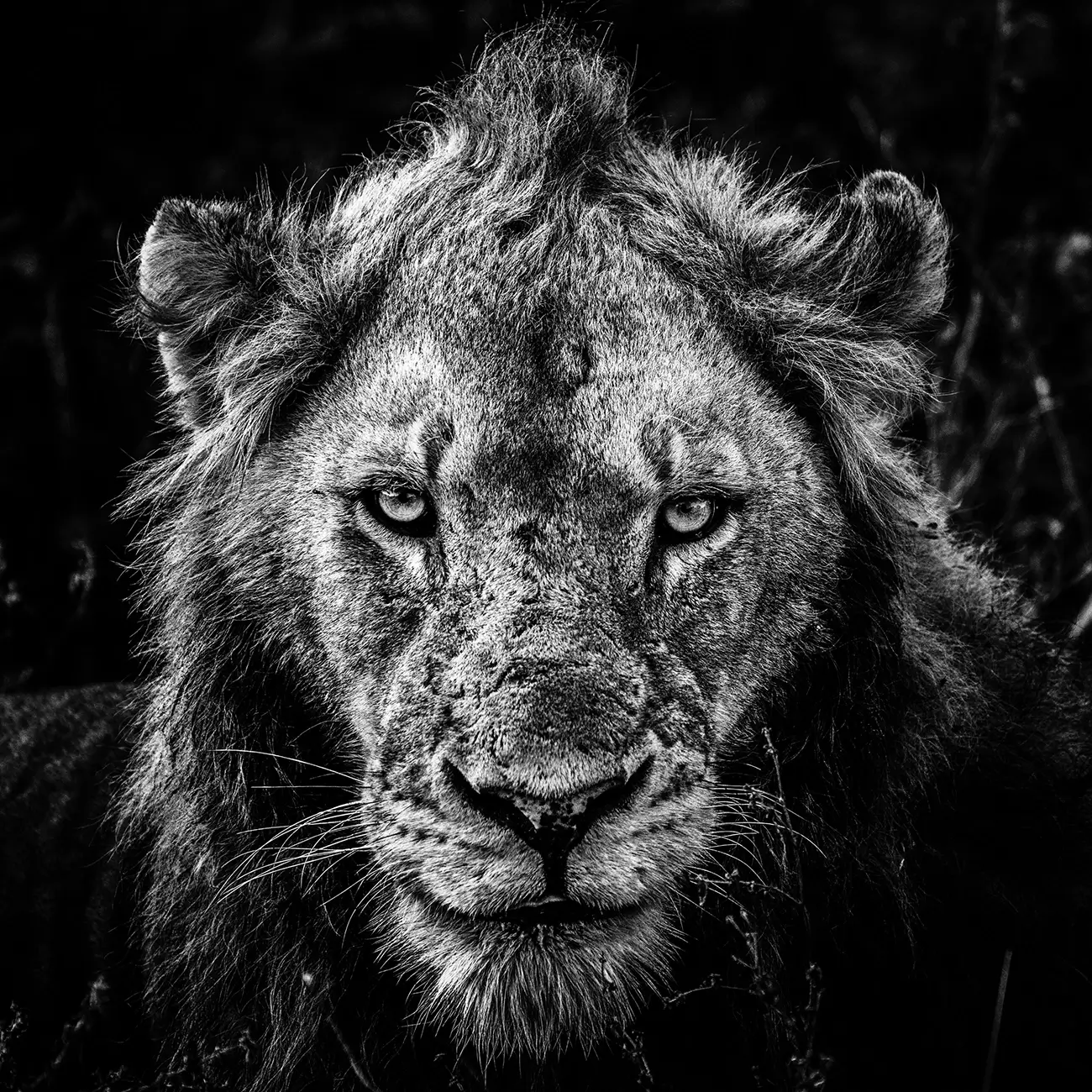 Laurent Baheux