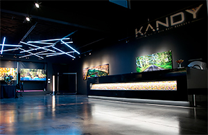 Neil Dankoff and Kandy Gallery