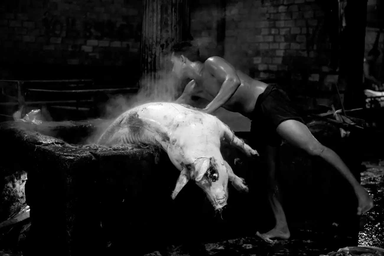 Steff Gruber