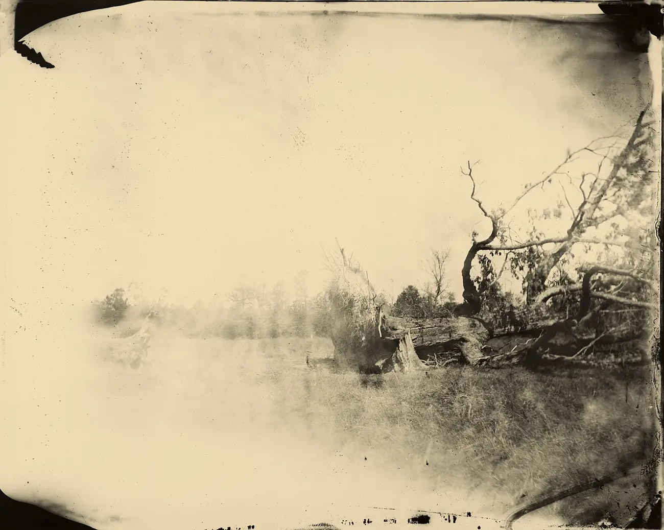 Sally Mann