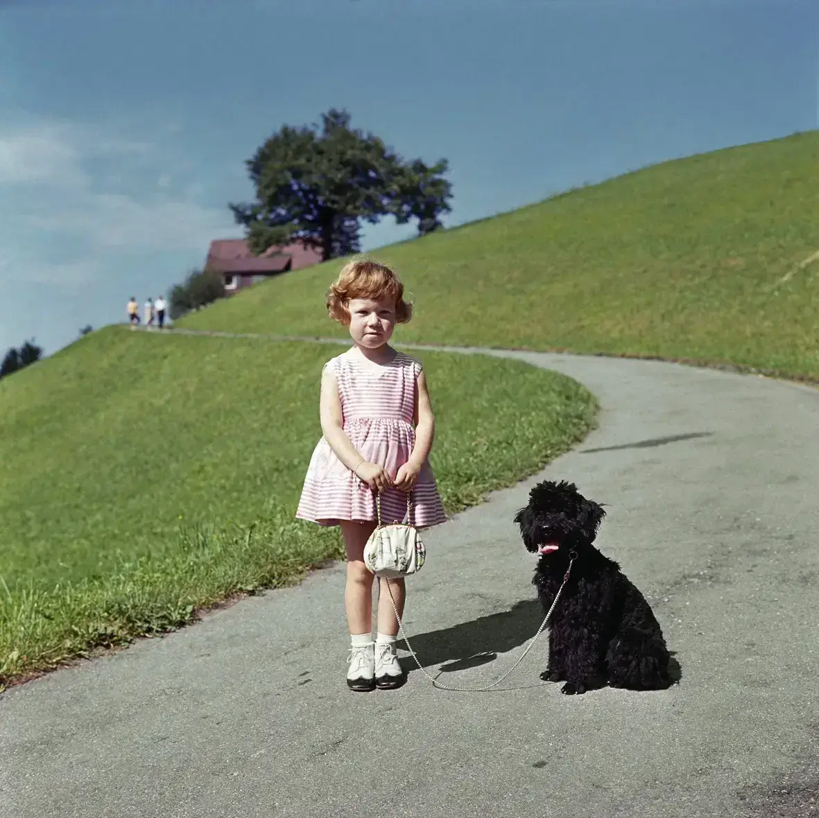 Arnold Odermatt