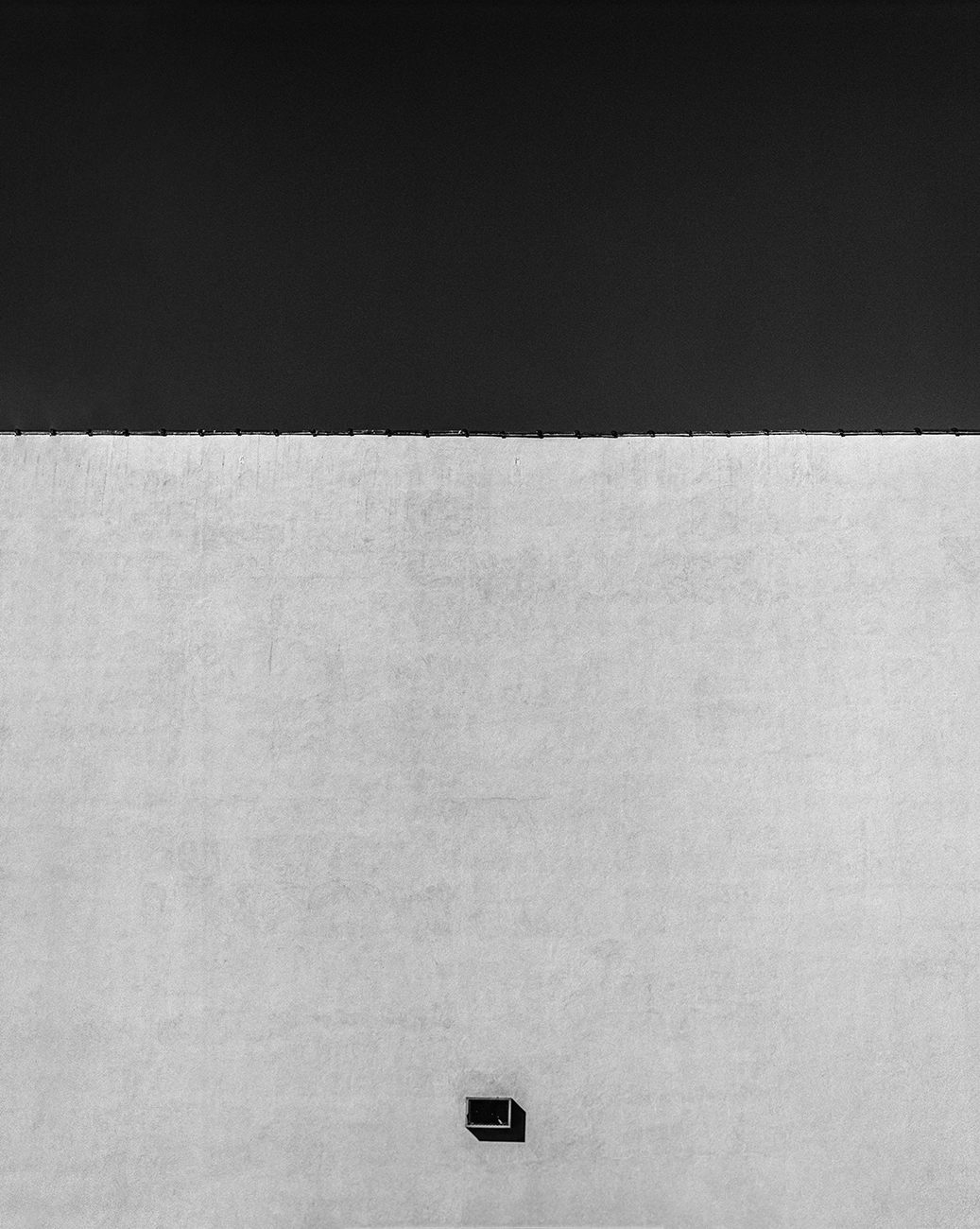 Shinji Ichikawa