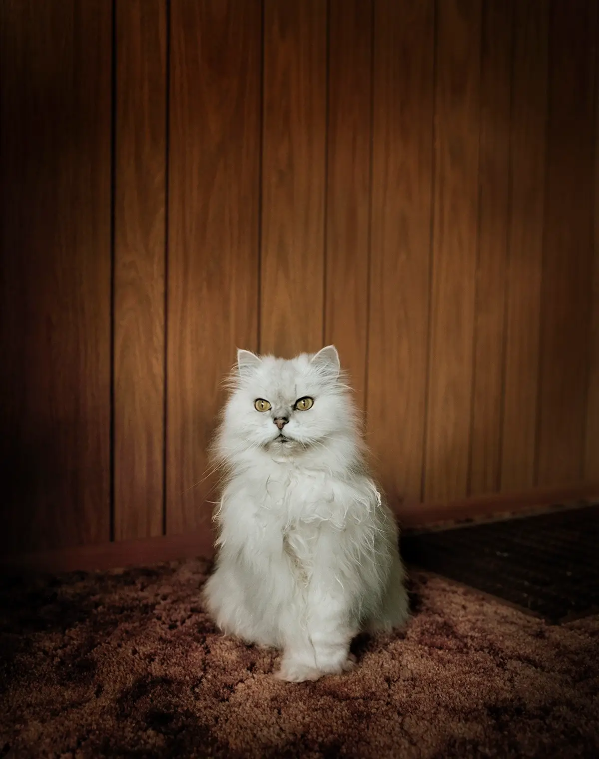 Todd Hido