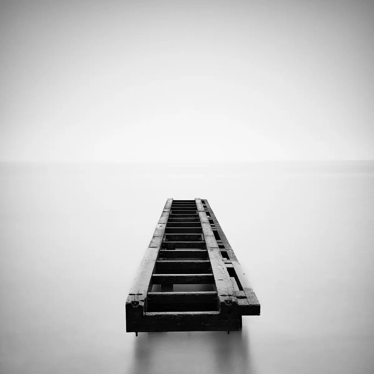 Ralf Dreier