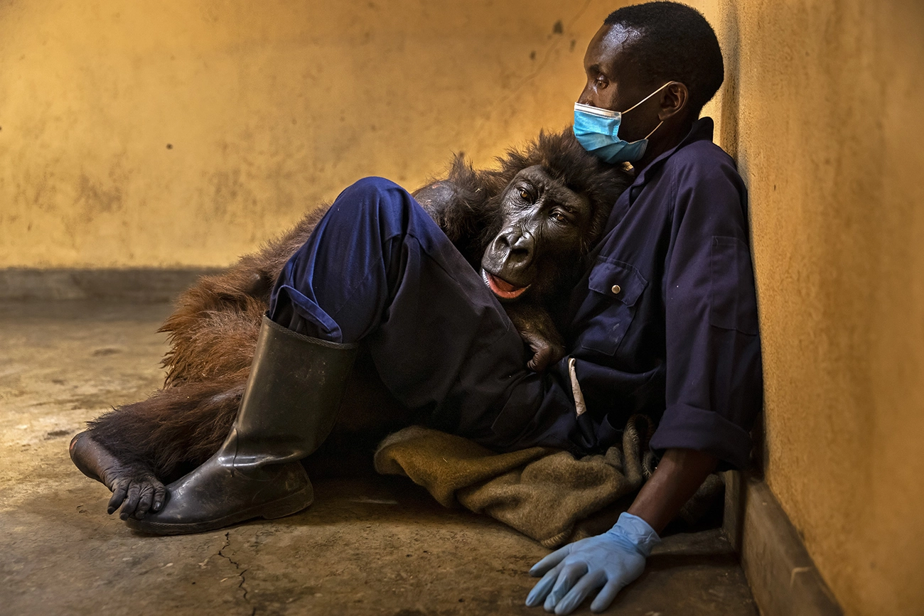Brent Stirton
