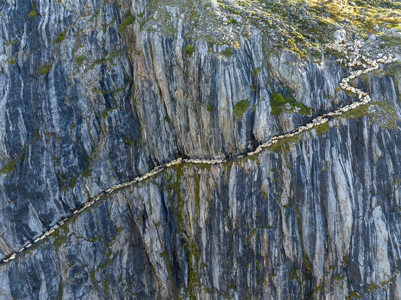 George Steinmetz