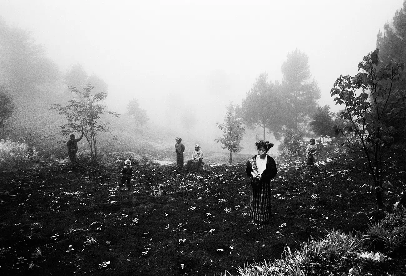 Jacob Aue Sobol