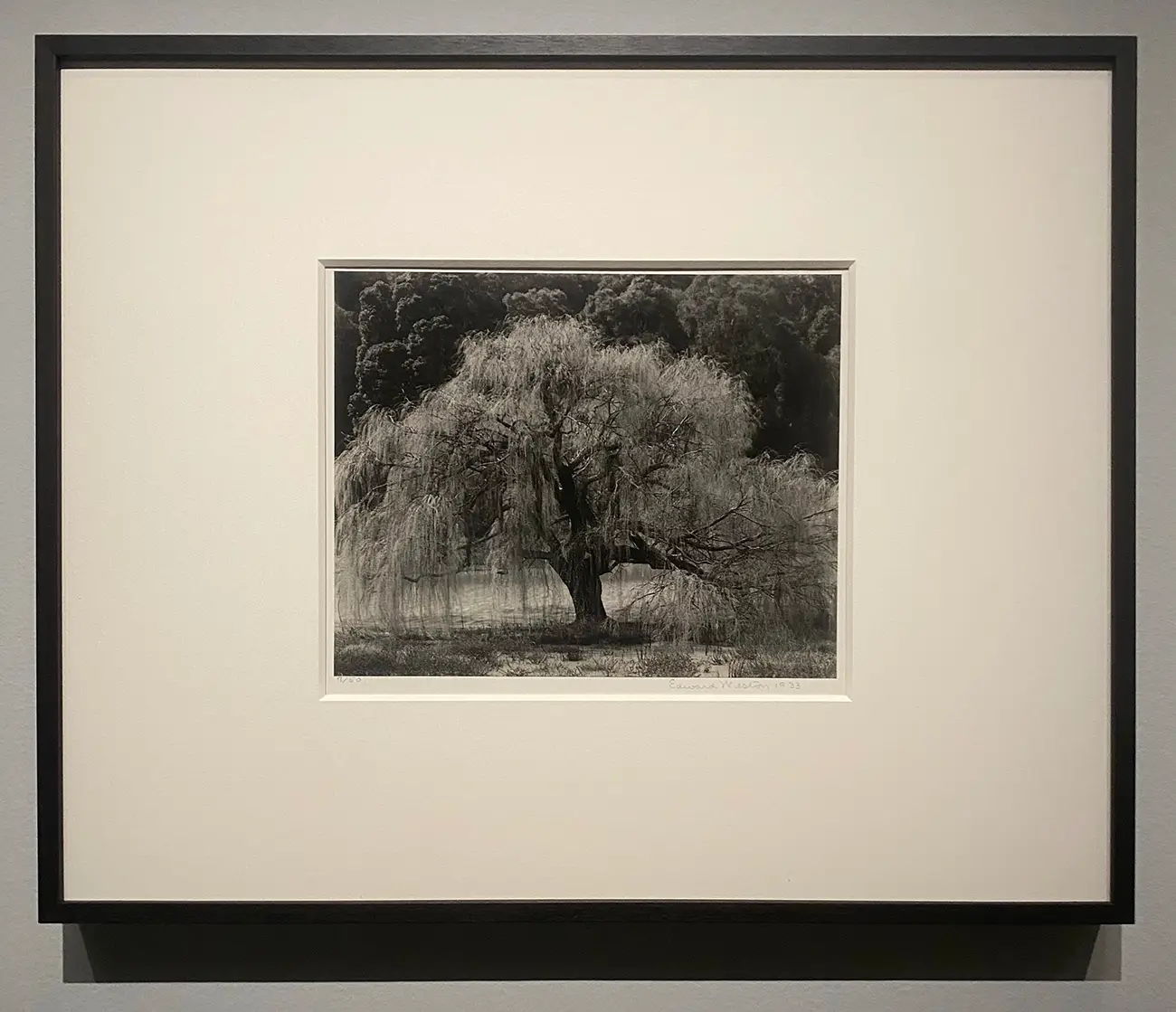 Edward Weston