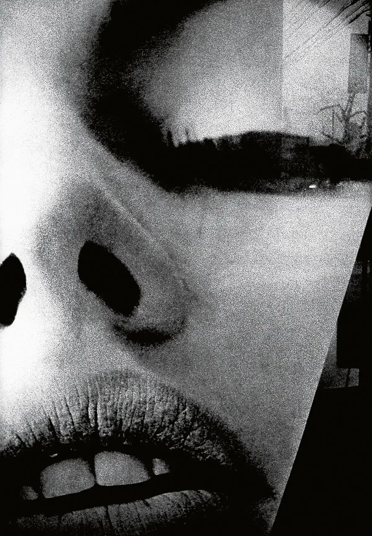 Daido Moriyama