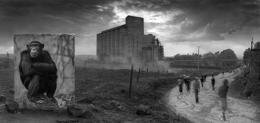 Nick Brandt Nick Brandt
