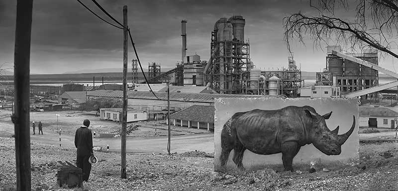 Nick Brandt Nick Brandt