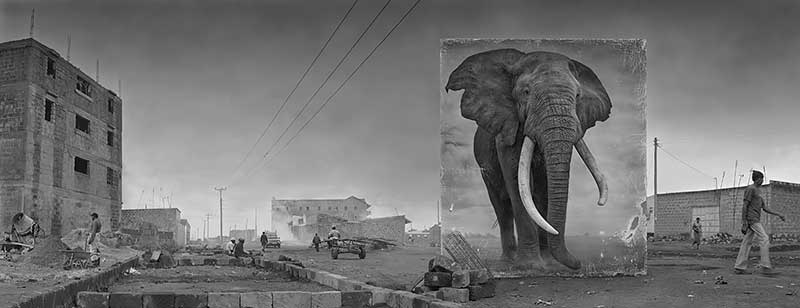 Nick Brandt Nick Brandt