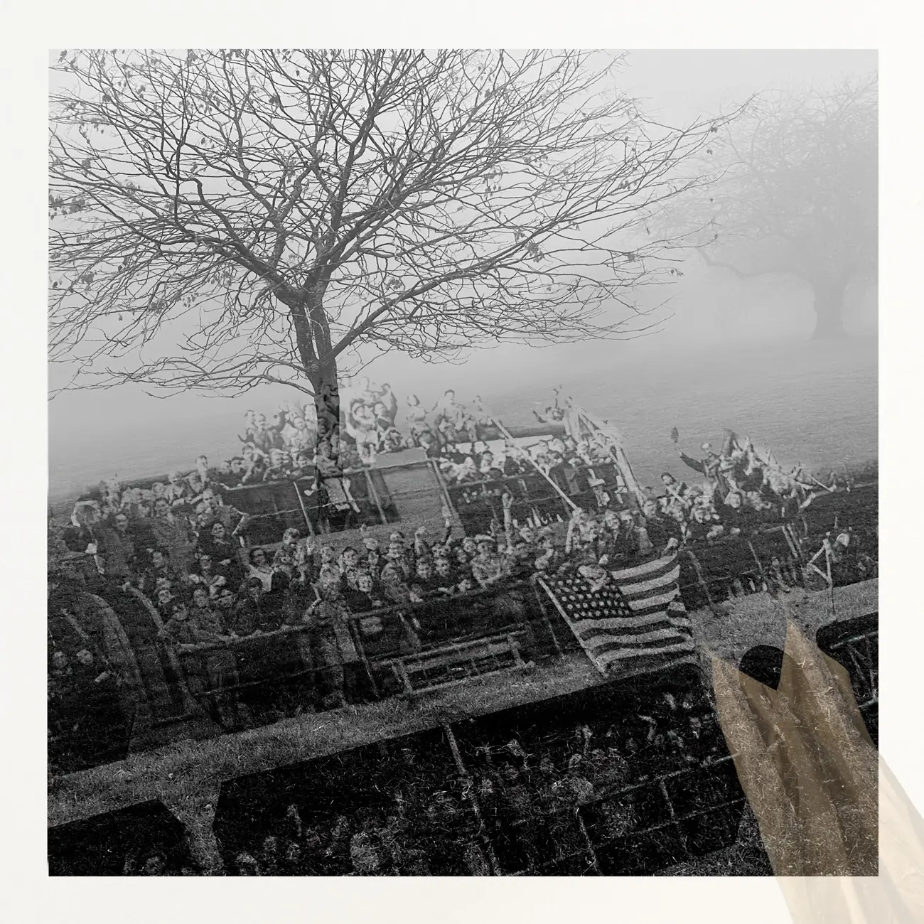 Ellen Konar & Steve Goldband