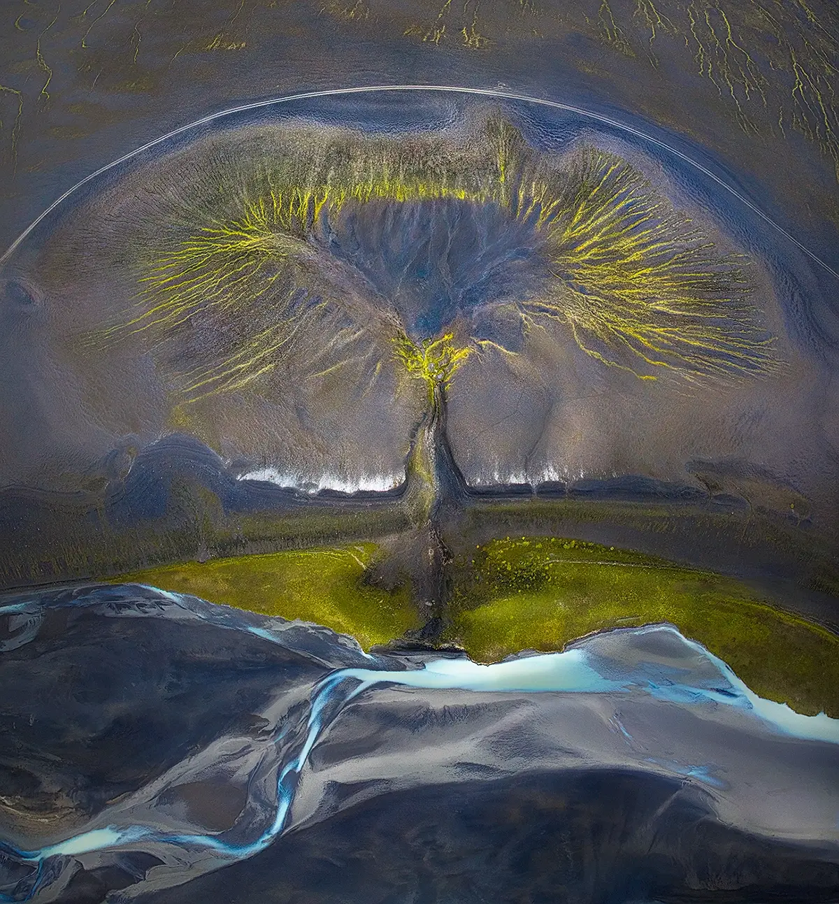 AAP Magazine 54: Nature - Discover the 25 Winning Photographers from Around the World