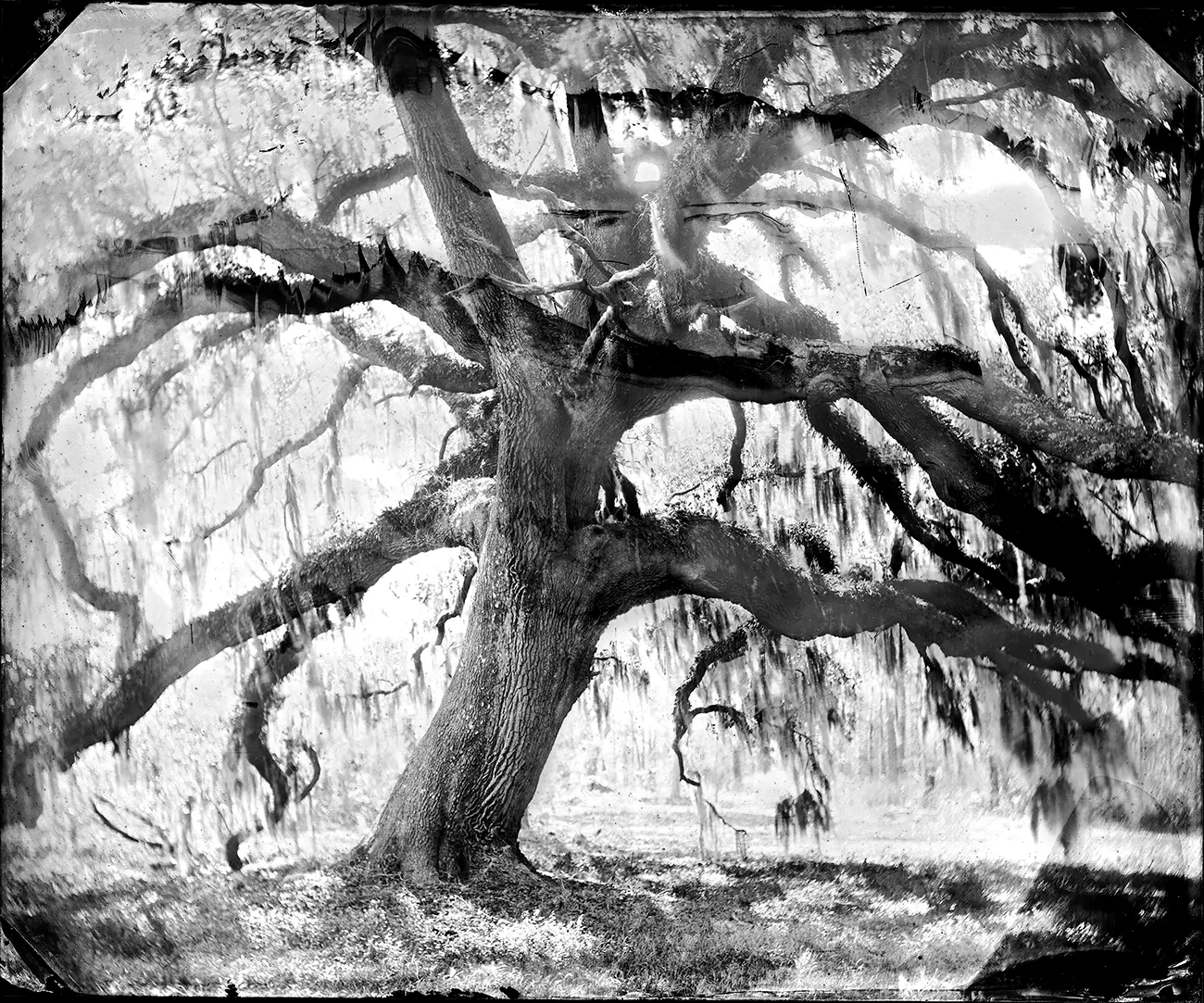 Virginia McGee Richards