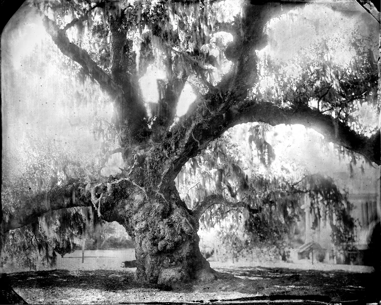 Virginia McGee Richards