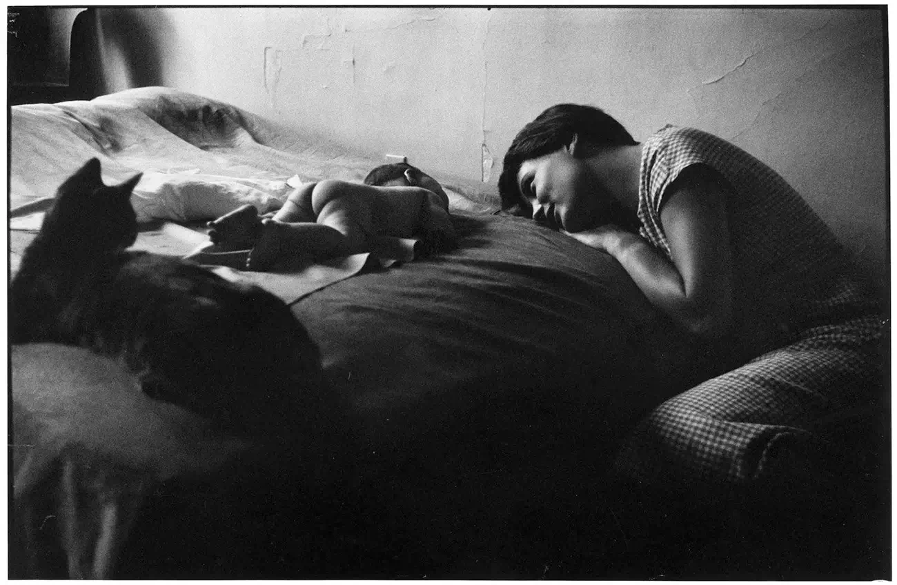 Elliott Erwitt