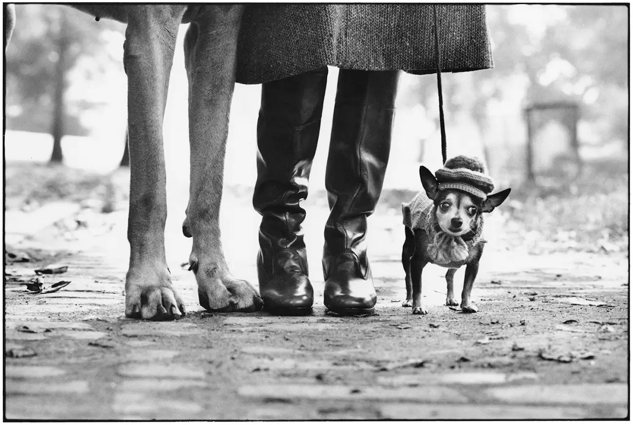 Elliott Erwitt