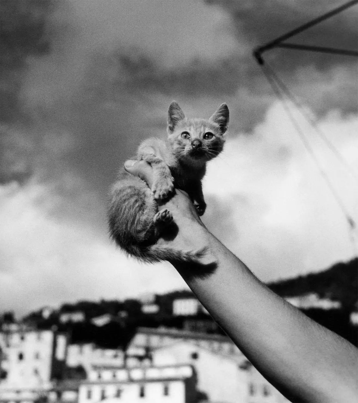 Herbert List