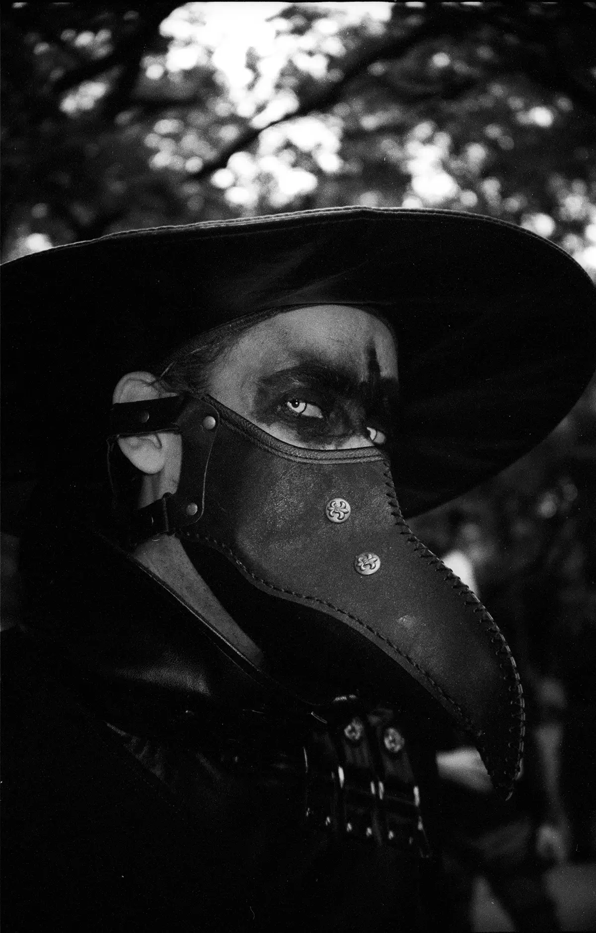 Laura Estelle Barmwoldt