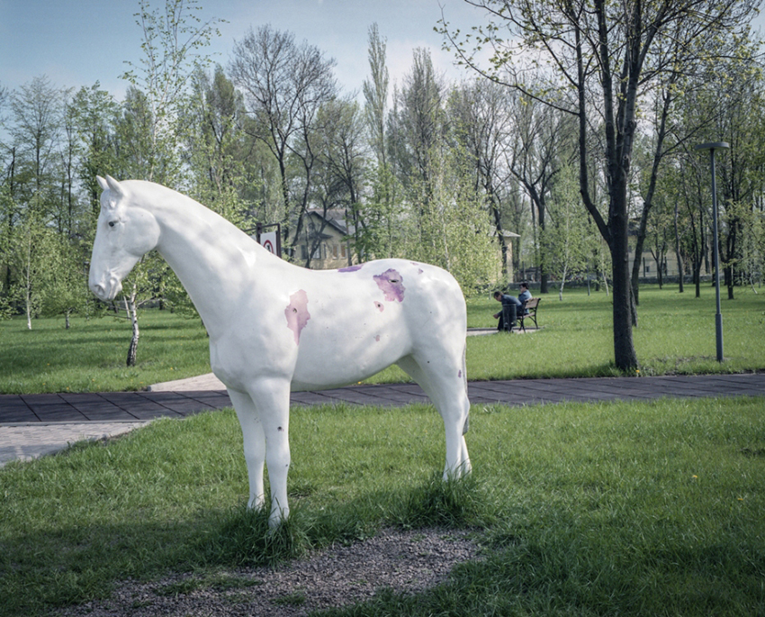 Justyna Mielnikiewicz - Horse with bullet holes on Donetsk outskirts