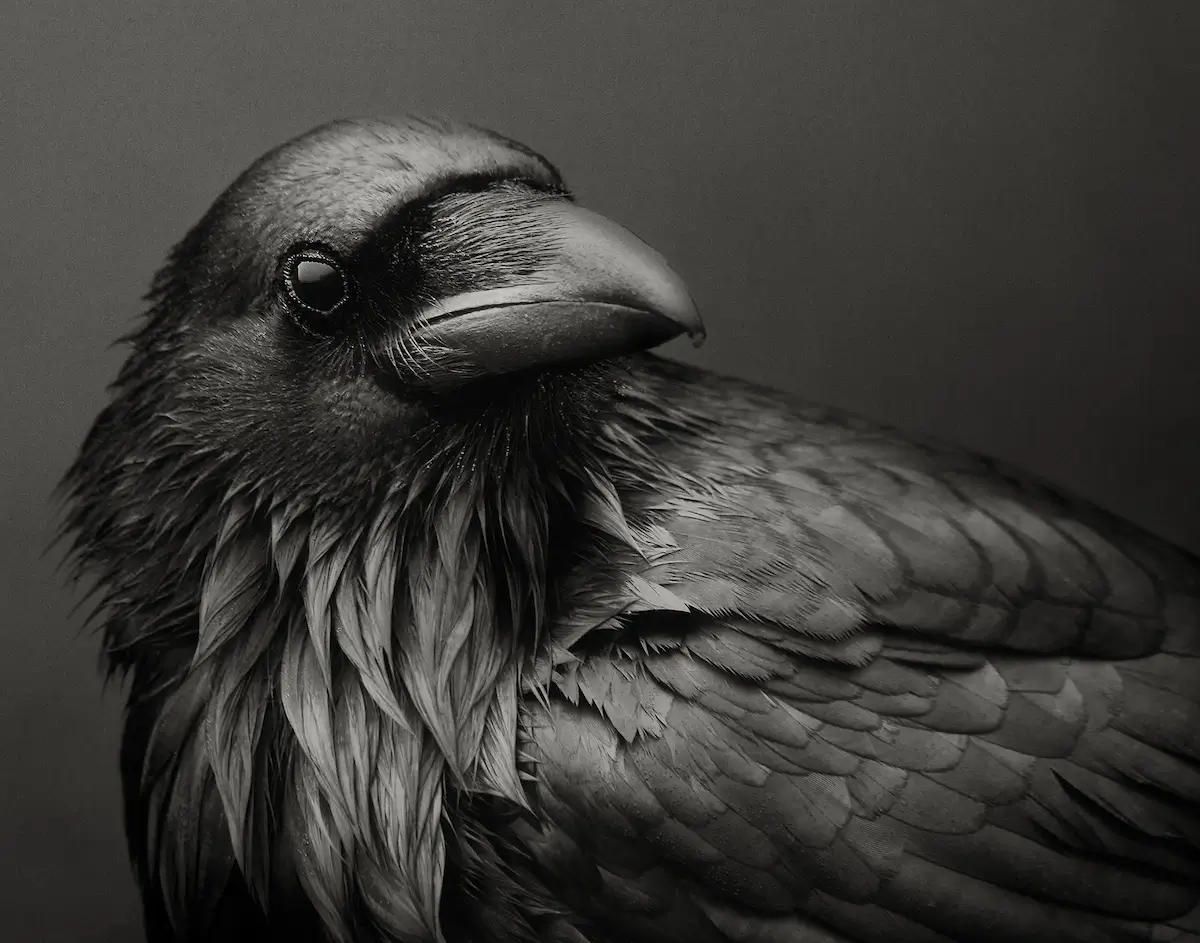 Beth Moon