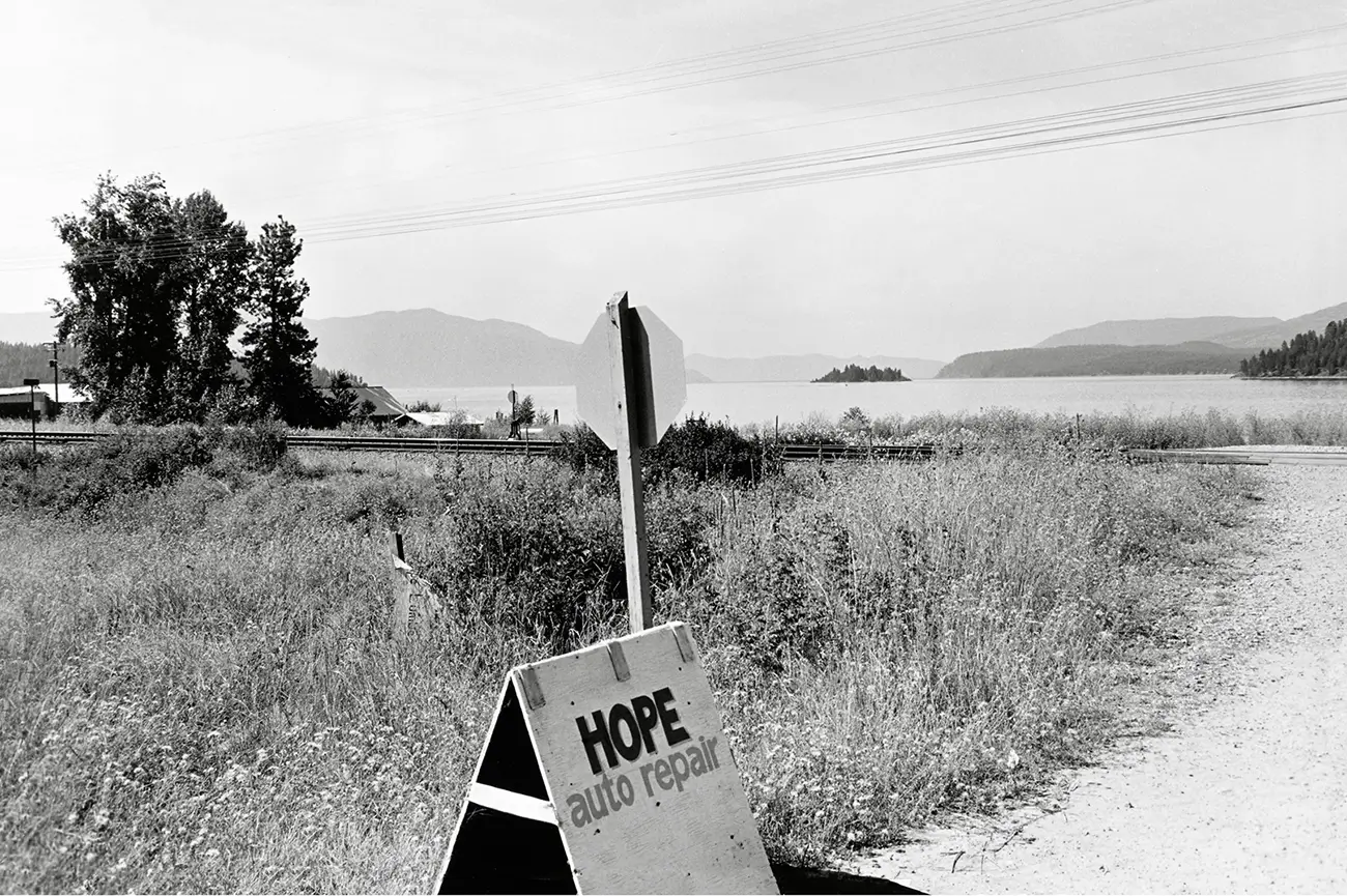 Lee Friedlander
