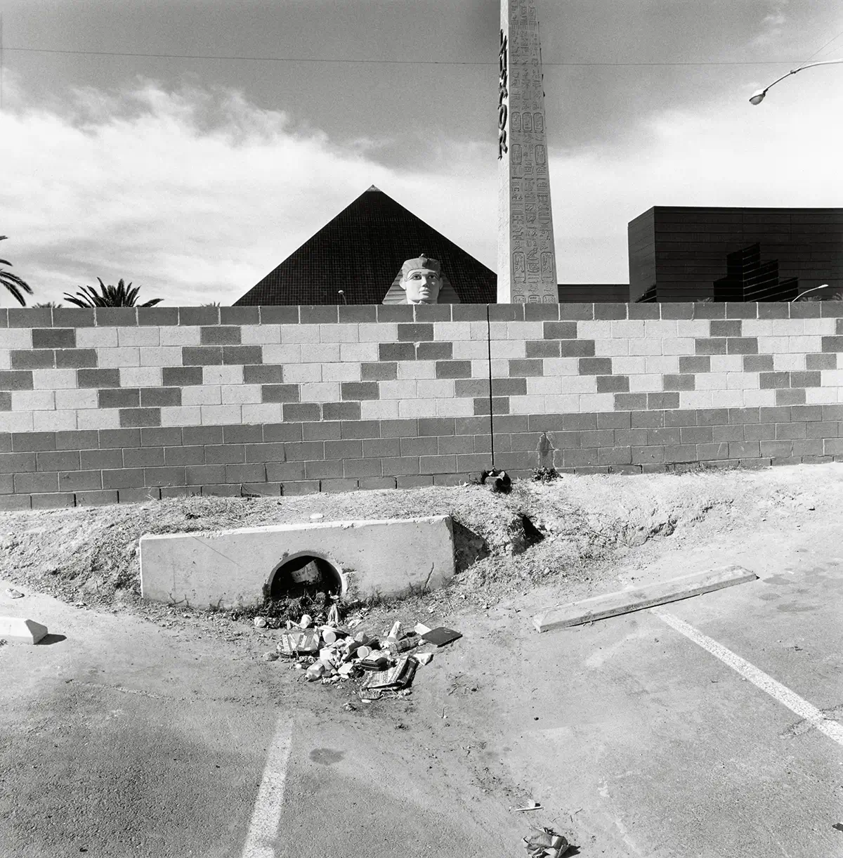 Lee Friedlander
