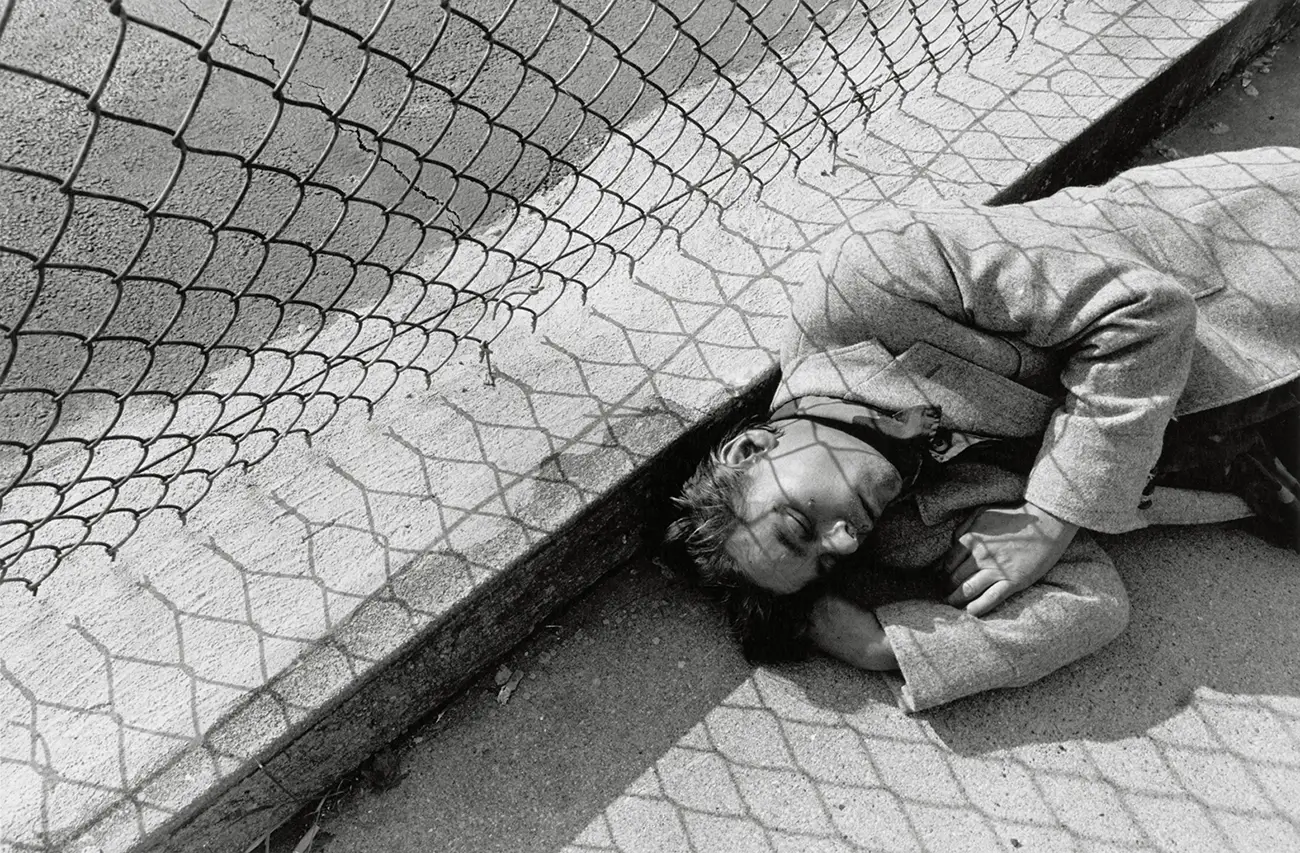 Lee Friedlander